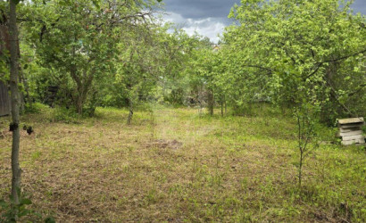 Купить участок, Янтарь, 5 соток. Фото 6