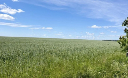 Купить дом, Теплень, Октябрьская ул., 51, 18.19 соток. Фото 14
