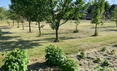 Купить дом, Октябрьский, Павловского д.5, 12.5 соток. Фото 8