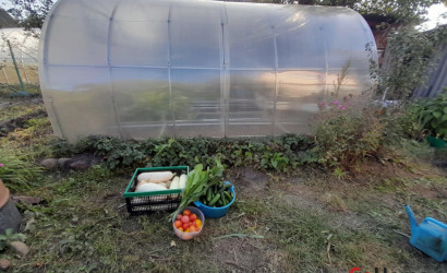 Купить дачу, Электрик-17, 6 соток. Фото 15