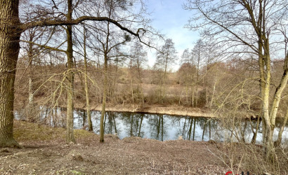 Купить дом, Некраши, 24.75 соток. Фото 12