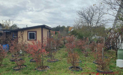 Купить коттедж, Брест, СТ Балагое, 5 соток. Фото 4