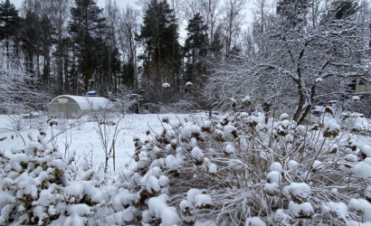 Купить участок, Лесок-1, 5.11 соток. Фото 11