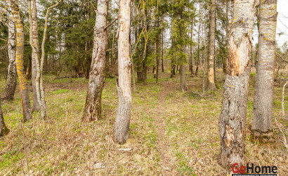 Купить дом, Родник-5, 6.44 соток. Фото 37