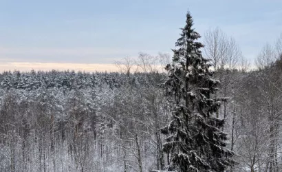  49.3 м2, Лесной(Мирная 8)