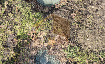 Купить дачу, Каменица-Жировецкая, Мухавецкий с/с, 4.8 соток. Фото 17