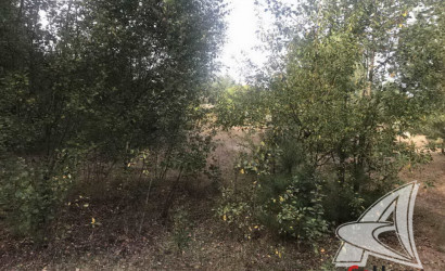 Купить участок, Брест, Радваничский с/с, 10 соток. Фото 2