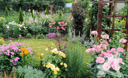 Купить дачу, Брест, Чернинский с/с, 5.22 соток. Фото 40