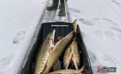 Купить дом, Потино, 12.1 соток. Фото 17