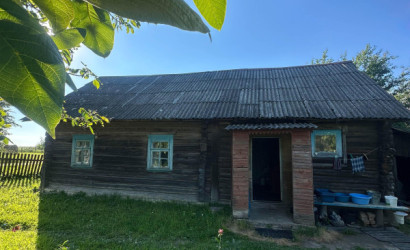 Купить дом, Ветка, Центральная ул., 25 соток. Фото 11