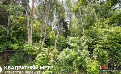  Малинка