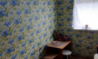 Купить дом в деревне, Родничок-Ягодка, 7.04 соток. Фото 13