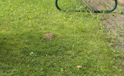 Купить дом, Колодищи, Тихоновская ул., 21, 15 соток. Фото 9