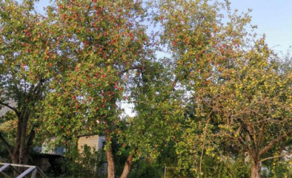 Купить дом в деревне, РАНЕТ-1, 6 соток. Фото 12