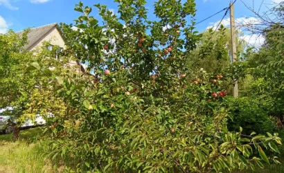  155.6 м2, Близница(Центральная ул., 30)