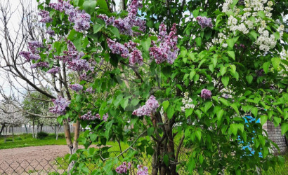 Купить дом, Петришки, 18 соток. Фото 28