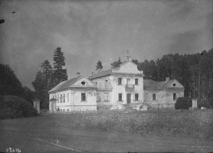 На торги выставили одну из самых красивых усадеб Беларуси. В придачу идет участок в 1,3 гектара возле границы с ЕС