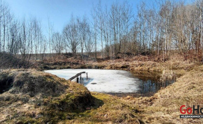 Купить дом, Малашки, 25 соток. Фото 3