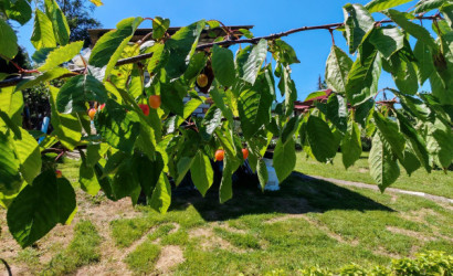 Купить дом в деревне, ЛЕСНОЕ-90, Сиреневая, 160, 8.92 соток. Фото 27