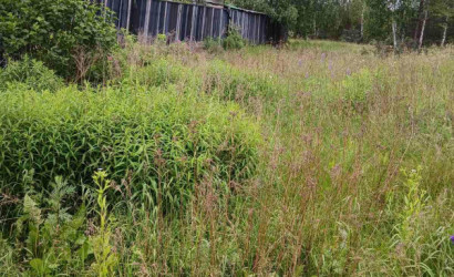 Купить участок, СВЯЗИСТ-92, 7.59 соток. Фото 3