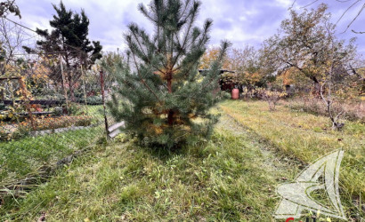 Купить участок, Брест, Мухавецкий с/с, 4.99 соток. Фото 8