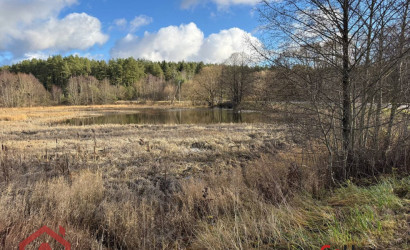 Купить участок, Приселки, 25 соток. Фото 8