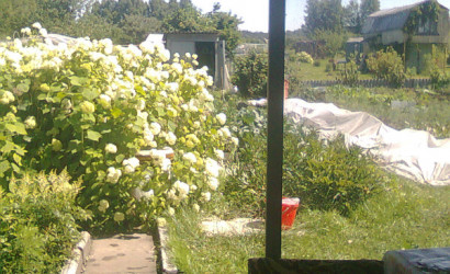 Купить дачу, Бережа, Ст Пятигорье, 11 соток. Фото 1