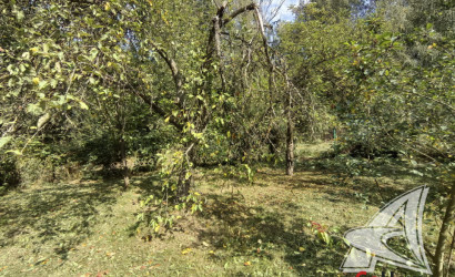 Купить дачу, Брест, Мотыкальский с/с, 6.26 соток. Фото 4