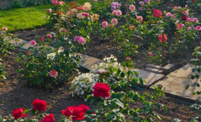 Купить дом в деревне, АЭРОФЛОТ, 6.04 соток. Фото 28