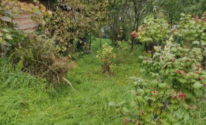 Купить участок, Молодечно, СТ Рамонак-МАЗ уч.41, 10 соток. Фото 2