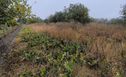 Купить дом, Еремино, Вокзальная, 9, 24.9 соток. Фото 2