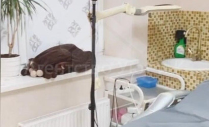 Продажа торгового помещения, Витебск, Чкалова ул., 27/3,  64.4 кв.м.. Фото 6