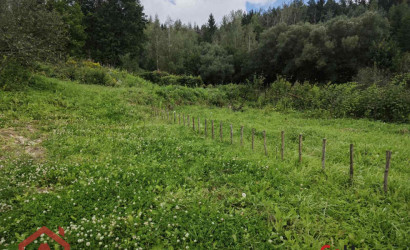 Купить участок, Мончаки, Центральная, 39, 24.92 соток. Фото 11