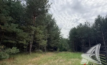  90.4 м2, Брест(Речица)