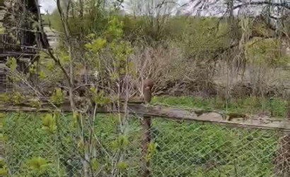 Купить дом, Витебск, Заводская, 21.63 соток. Фото 2