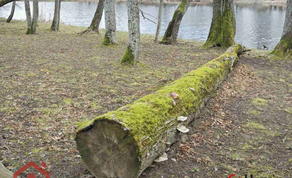 Купить дом, Стайки, Центральная, 20.57 соток. Фото 2