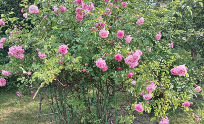 Купить дом, Феликсово, 23.5 соток. Фото 13