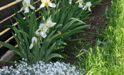 Купить дом в деревне, Кокощицы, 73, 40 соток. Фото 2