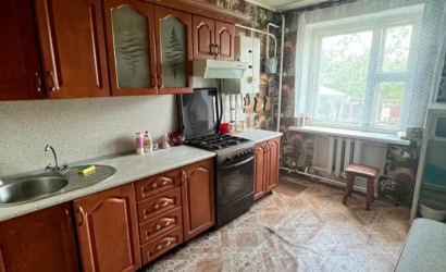 Купить 4-комнатную квартиру, Вежи, Центральная ул.. Фото 3