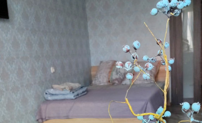 Снять 1-комнатную квартиру на сутки, Барановичи, Орджоникидзе д. 5. Фото 10