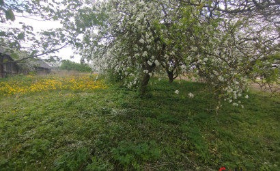 Купить дом, Пелеса, Центральная ул., 24, 22.56 соток. Фото 10