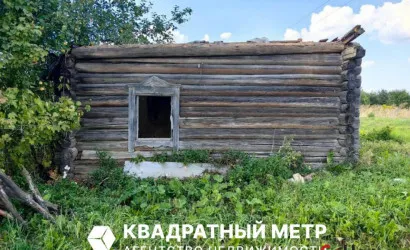 Цитва