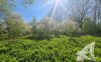 Купить дом в деревне, Луцевичи, Буховичский с/с, 24.97 соток. Фото 23