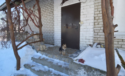 Купить дом, Тихиничи, Набережная, 13 соток. Фото 5