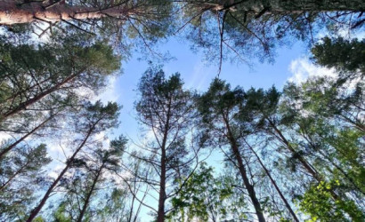 Купить коттедж, Губичи д., Лесная ул. 10, 17.92 соток. Фото 46