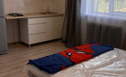 Снять 1-комнатную квартиру, Лесковка, Лесная. Фото 4