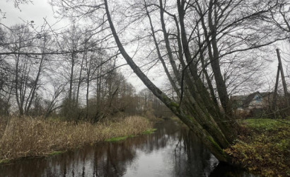 Купить дом в деревне, Лесное д.Доржи, 7 соток. Фото 1