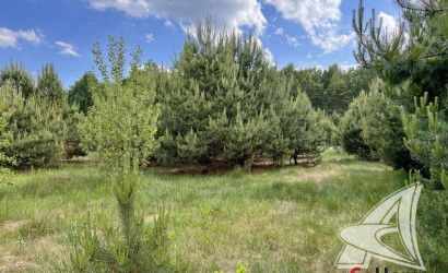 Купить дом, Дубица, Домачевский с/с, 24.96 соток. Фото 5