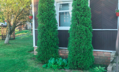 Купить дачу, Правдинский, Центральная, 6.5 соток. Фото 11