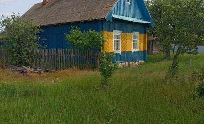 Купить дом в деревне, Большой Рожан, ул. Трудовая, 20 соток. Фото 11